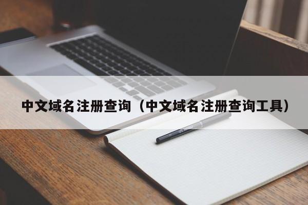 中文域名注册查询（中文域名注册查询工具）