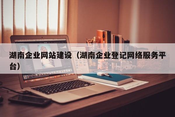 湖南企业网站建设（湖南企业登记网络服务平台）