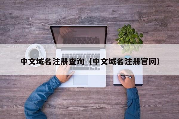 中文域名注册查询（中文域名注册官网）