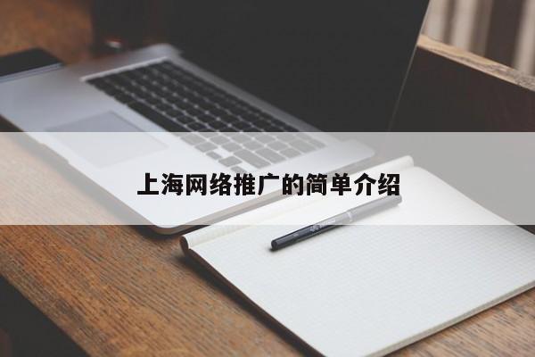 上海网络推广的简单介绍